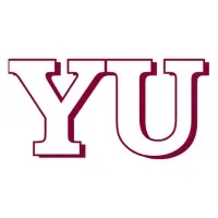 YU & Associates