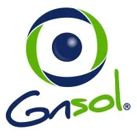 GNSOL CORP