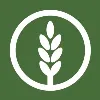 NeoLife International