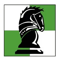 Chesstronics Inc