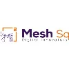 Mesh Sq Mesh Sq