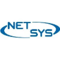 Netsys JV LLC