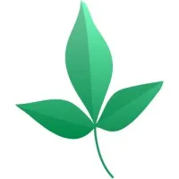 VVV Interiors VVV Interiors