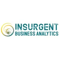 Insurgent Business Analytics