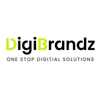 Digibrandz IT Solutions Pvt Ltd