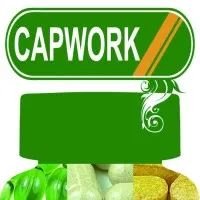 Capwork Laboratory Inc. Capwork Laboratory Inc.