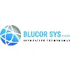 BluCor Systems Pvt. Ltd. BluCor Systems Pvt. Ltd.