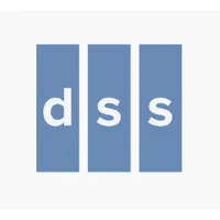 Diversified Storage Solutions, Inc. [DSS]