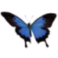 Psychotherapy Private Practice