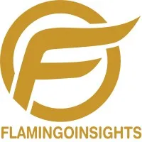 Flamingo Insights