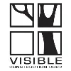 Visible Construction Corp Visible Construction Corp
