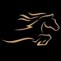 Bronco Transportation Services LLC