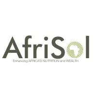 African Solutions Private Limited (AfriSol)