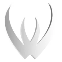Webduel
