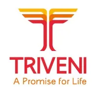Triveni Group