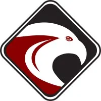 Cyber Struggle Cyber Struggle