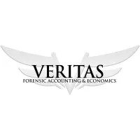 Veritas Forensic Accounting and Economics, PLLC