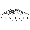 Vesuvio Labs Vesuvio Labs