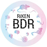 RIKEN BDR / 理化学研究所 生命機能科学研究センター