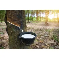 Tấm Ốp Lam Sóng-Tấm Ốp Lam Nhựa Pare
