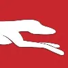 Greyhound Australia Greyhound Australia