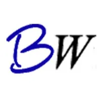 Brilliant Writings Brilliant Writings