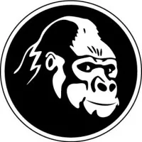 Gorilla Transport Inc