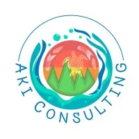 Aki Consulting Inc