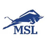 Law Offices of Michael S. Lamonsoff, PLLC