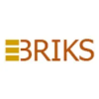 EBriks Infotech Pvt. Ltd.