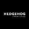Hedgehog Hedgehog
