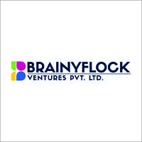 Brainyflock Private Limited