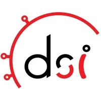 Data Strategies Interchange, LLC.