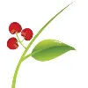 HIOX