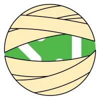 The InnuScience Group