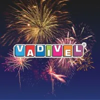 Vadivel Pyrotechs Private Limited