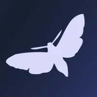 Diligent Marketing Solutions Orlando, United States