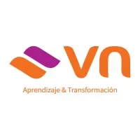 VN Consultora VN Consultora