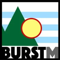 Burst Management, LLC