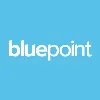 Bluepoint Leadership Development