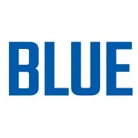 BLUE Chartered Accountants and Auditors., Ltd.