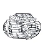 Ark Homes Foster Family Agency Ark Homes Foster Family Agency