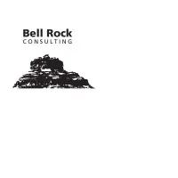 Bell Rock Consulting