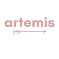 Artemis Partnerships