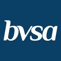 BVSA Audit Incorporated