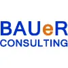 BAUeR Consulting BAUeR Consulting