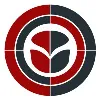 Target Mind - The Right Strategy