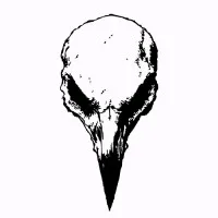 Vulture Films