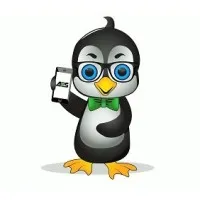 Accurate Pay Systems, Inc.