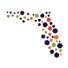 Florida Connexion Group Florida Connexion Group